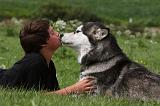ENFANT ET CHIEN 337